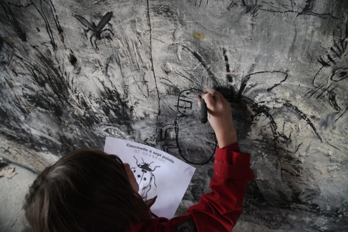 Actions d’éducation artistique — Lizières