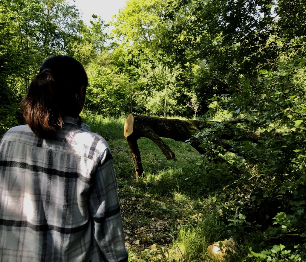 Un Dimanche Idéal  : HORS FAIX — Lizières